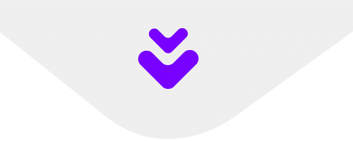Seta